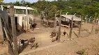 Foto 7 de Fazenda/Sítio com 2 Quartos à venda, 3000m² em Vila Sao Joao, Senador Canedo