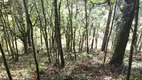 Foto 6 de Fazenda/Sítio à venda, 20000m² em Bateias, Campo Largo