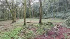 Foto 4 de Lote/Terreno à venda, 21000m² em Linha Olinda, Nova Petrópolis