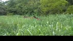 Foto 3 de Fazenda/Sítio à venda em Serra Verde, Belo Horizonte