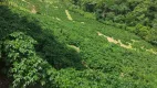 Foto 4 de Fazenda/Sítio com 1 Quarto à venda, 100m² em , Conceição do Castelo