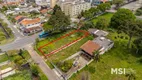 Foto 3 de Lote/Terreno à venda, 528m² em Tingui, Curitiba