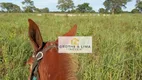 Foto 13 de Fazenda/Sítio com 2 Quartos à venda, 1000m² em Zona Rural, Cocalinho