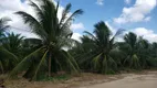 Foto 3 de Fazenda/Sítio com 3 Quartos à venda, 84000m² em Centro, Vera Cruz