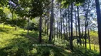 Foto 10 de Fazenda/Sítio com 3 Quartos à venda, 270000m² em Maracanã, Jarinu