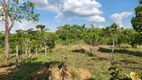 Foto 14 de Fazenda/Sítio com 3 Quartos à venda, 48000m² em Centro, Bela Vista de Goiás