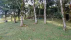 Foto 8 de Fazenda/Sítio à venda, 10680m² em Campestre da Faxina, São José dos Pinhais