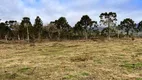 Foto 20 de Lote/Terreno à venda, 20000m² em Centro, Urubici