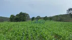 Foto 4 de Fazenda/Sítio com 3 Quartos à venda, 140m² em Zona Rural, Paracatu