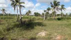 Foto 17 de Fazenda/Sítio à venda em Centro, São José de Mipibu