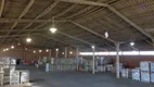 Foto 14 de Galpão/Depósito/Armazém para alugar, 900m² em Parque Industrial, Maringá