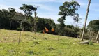 Foto 31 de Fazenda/Sítio à venda, 2299000m² em Campo Largo da Roseira, São José dos Pinhais