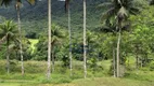 Foto 16 de Fazenda/Sítio para venda ou aluguel, 805000m² em Massaguaçu, Caraguatatuba