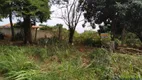 Foto 18 de Fazenda/Sítio à venda, 1075m² em Conjunto Vale Azul, Sarandi