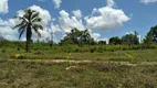 Foto 26 de Fazenda/Sítio à venda, 160000m² em Muriú, Ceará Mirim