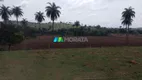 Foto 16 de Fazenda/Sítio com 3 Quartos à venda, 127m² em Zona Rural, Florestal