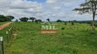 Foto 4 de Fazenda/Sítio à venda, 53m² em Zona Rural, Silvânia