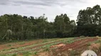 Foto 6 de Lote/Terreno à venda, 96800m² em Sao Joao d Oeste, Cascavel