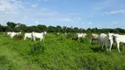 Foto 4 de Fazenda/Sítio com 4 Quartos à venda, 1446m² em , São Romão