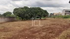 Foto 5 de Lote/Terreno para venda ou aluguel, 7000m² em Monte Belo, Londrina