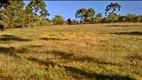 Foto 7 de Fazenda/Sítio à venda, 63400m² em Zona Rural, Delfim Moreira