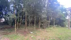 Foto 19 de Lote/Terreno à venda, 802m² em Floresta, Gramado