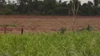 Foto 25 de Fazenda/Sítio com 4 Quartos à venda em Centro, Petrolina de Goiás