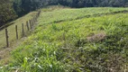 Foto 16 de Fazenda/Sítio com 3 Quartos à venda, 5000m² em Zona Rural, Tuiuti