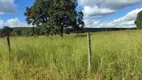 Foto 4 de Fazenda/Sítio com 5 Quartos à venda, 8m² em , Cocalzinho de Goiás