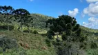 Foto 8 de Fazenda/Sítio à venda, 2000m² em Zona Rural, Urubici