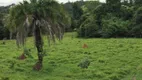 Foto 5 de Fazenda/Sítio à venda em Centro, Goianésia