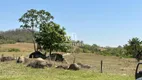 Foto 13 de Fazenda/Sítio com 4 Quartos à venda, 28m² em Zona Rural, Buriti Alegre