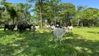 Foto 17 de Fazenda/Sítio com 3 Quartos à venda, 2613600m² em Nossa Senhora Aparecida, Uberlândia