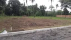 Foto 3 de Lote/Terreno à venda, 500m² em Tinguá, Nova Iguaçu