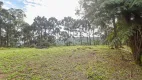 Foto 10 de Fazenda/Sítio à venda, 10000m² em Timbu, Campina Grande do Sul