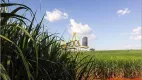 Foto 4 de Fazenda/Sítio com 1 Quarto à venda, 10m² em Zona Rural , Morrinhos