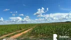 Foto 7 de Fazenda/Sítio à venda, 755m² em Zona Rural, Paraíso do Tocantins