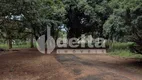 Foto 20 de Fazenda/Sítio com 3 Quartos à venda, 5000m² em Panorama, Uberlândia