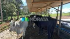Foto 5 de Fazenda/Sítio com 1 Quarto à venda, 34m² em Zona Rural, Passa Tempo