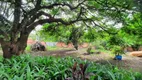 Foto 4 de Fazenda/Sítio com 3 Quartos para alugar, 250m² em Campestre, Piracicaba