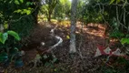 Foto 18 de Fazenda/Sítio com 3 Quartos à venda, 34400m² em Cachoeira, São José dos Pinhais