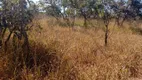 Foto 8 de Lote/Terreno à venda, 460000m² em Zona Rural, Martinho Campos