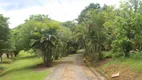 Foto 110 de Fazenda/Sítio com 4 Quartos à venda, 700000m² em Santa Isabel do Rio Preto, Valença