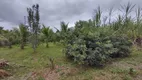 Foto 38 de Fazenda/Sítio com 3 Quartos à venda, 31000m² em Area Rural de Itajai, Itajaí