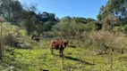 Foto 10 de Fazenda/Sítio com 1 Quarto à venda, 35000m² em , Carlos Barbosa