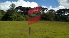 Foto 19 de Lote/Terreno à venda, 2800m² em Planta Laranjeiras, Piraquara