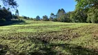 Foto 17 de Fazenda/Sítio com 3 Quartos à venda, 35600m² em Centro, Alfredo Wagner