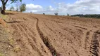 Foto 34 de Fazenda/Sítio com 2 Quartos à venda, 70m² em Zona Rural, Angatuba