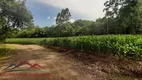 Foto 12 de Lote/Terreno à venda, 89000m² em Linha Olinda, Nova Petrópolis