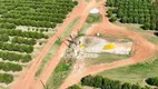 Foto 8 de Fazenda/Sítio à venda, 45700000m² em Zona Rural, Angatuba